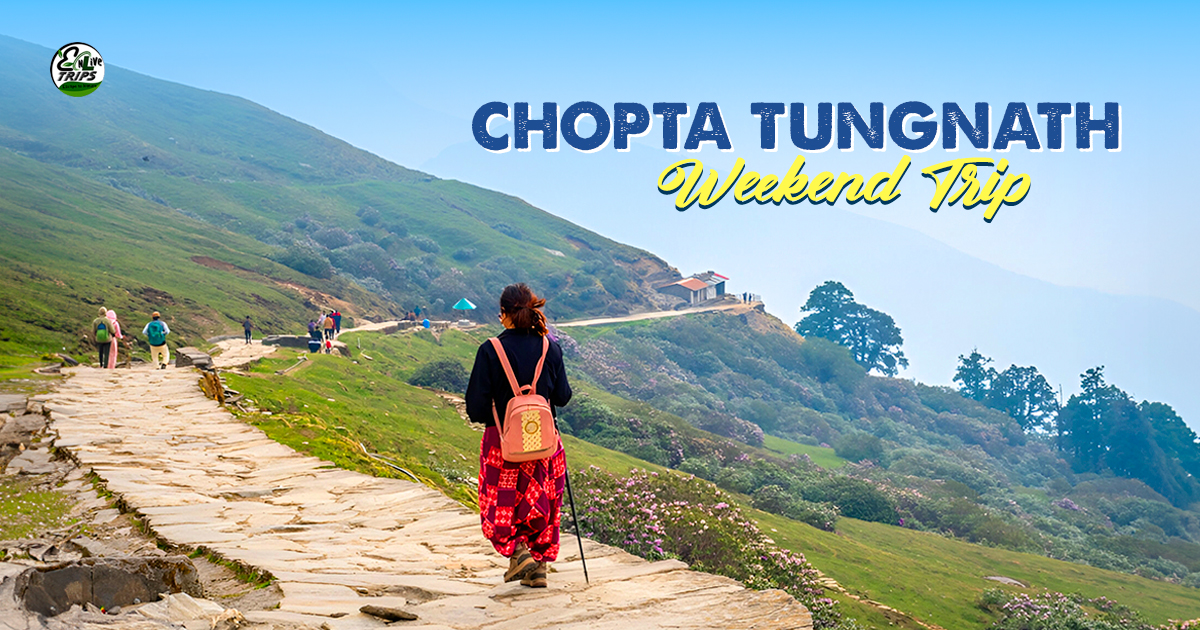 Chopta Tungnath weekend trip